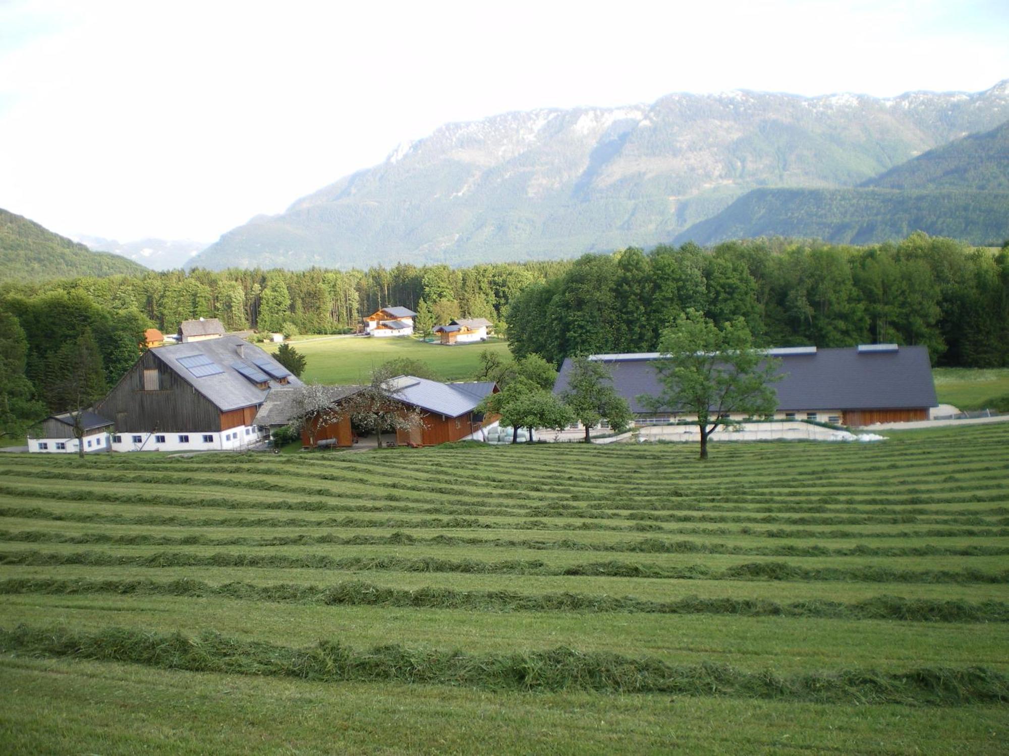 Vila Russbachbauer Saint Wolfgang Exteriér fotografie