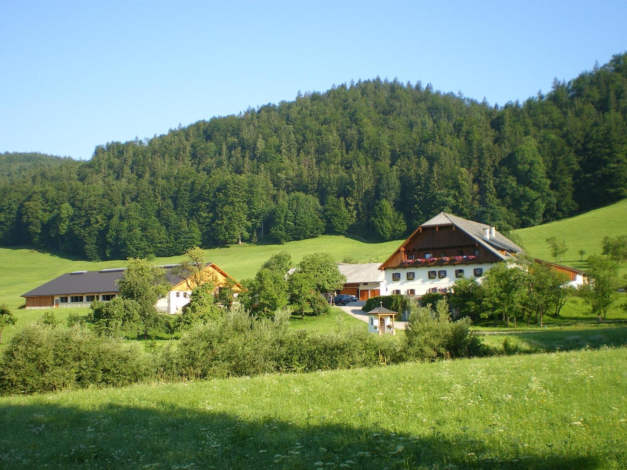 Vila Russbachbauer Saint Wolfgang Exteriér fotografie