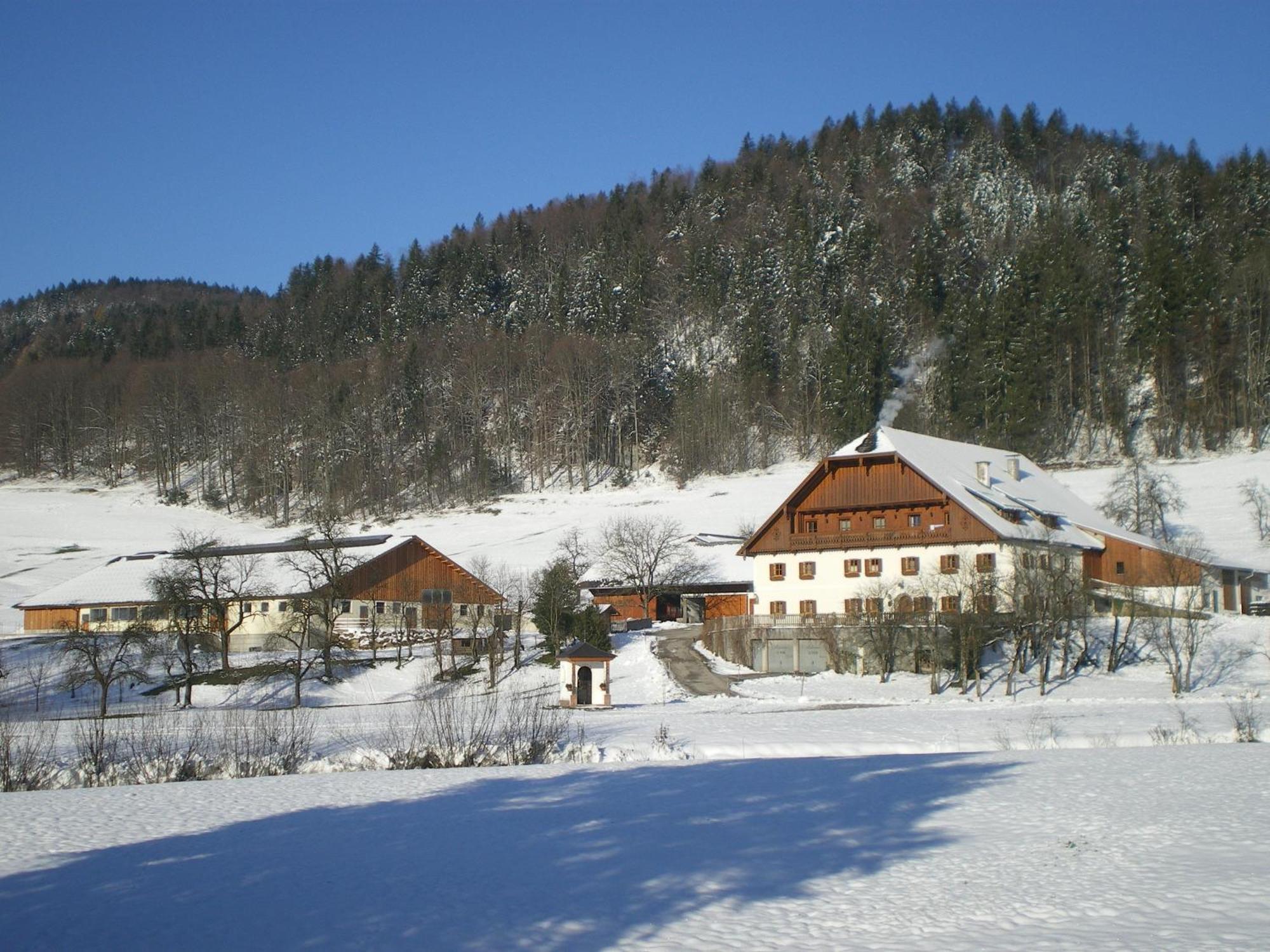 Vila Russbachbauer Saint Wolfgang Exteriér fotografie